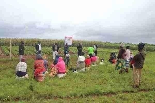 Community Participation