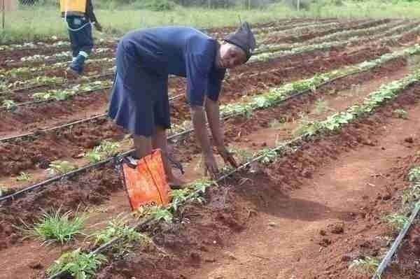 Youth Resilience Project