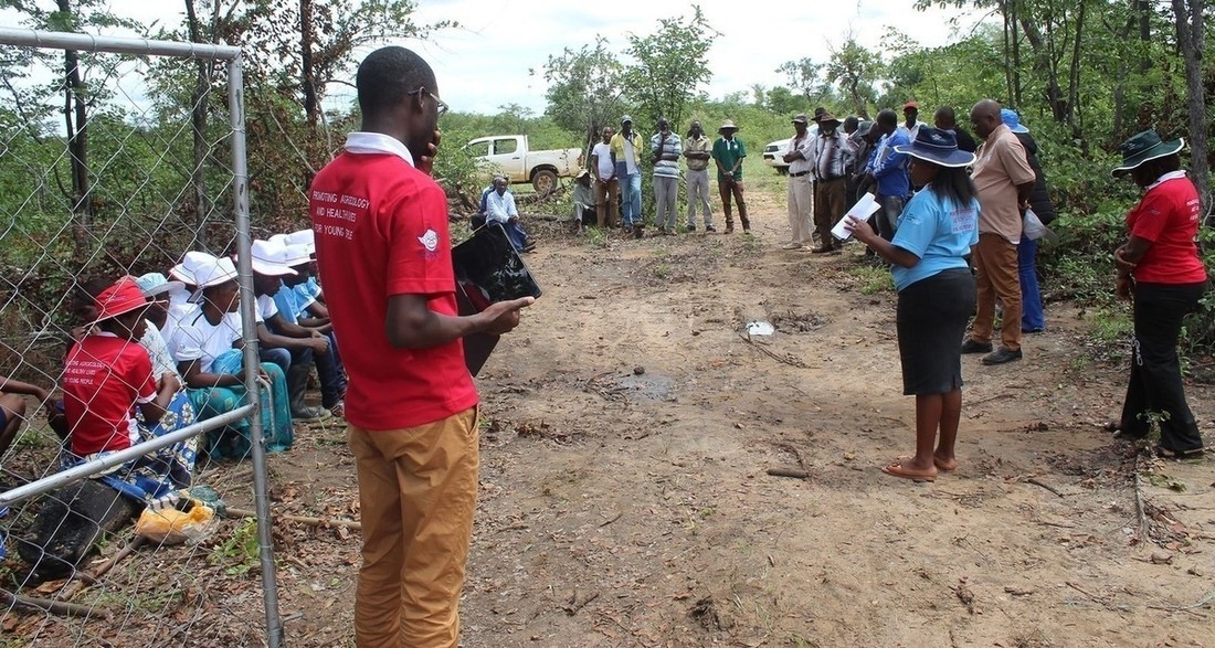 Monitoring and Evaluation