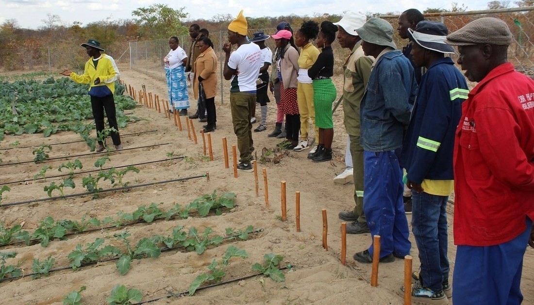 Community Development