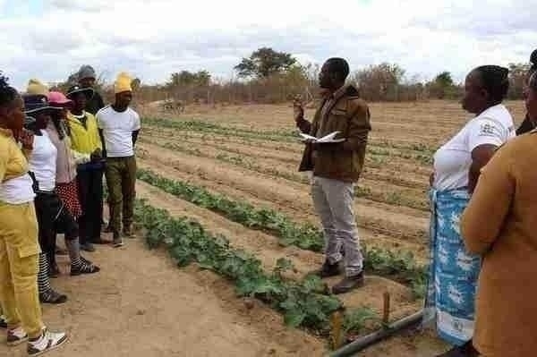 Sustainable Agriculture